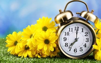 Spring Forward with Daylight Savings Time